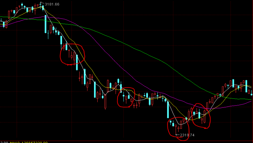 高估值无碍！美银：企业基本面强劲有望支撑美股